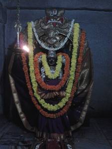Papagni Mutt, Kalavara