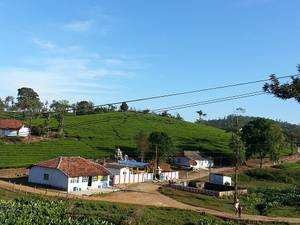 Peermade and the Tea Estates