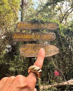 Pitchandikulam Forest