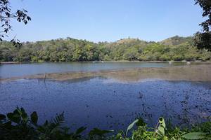 Pookode Lake