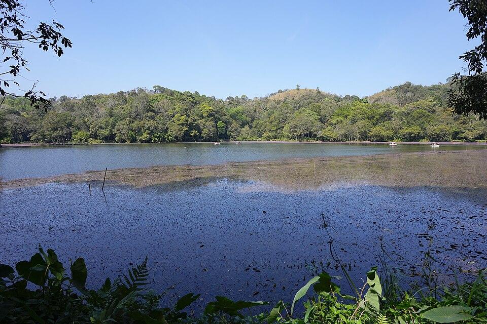Pookode_Lake_Wayanad