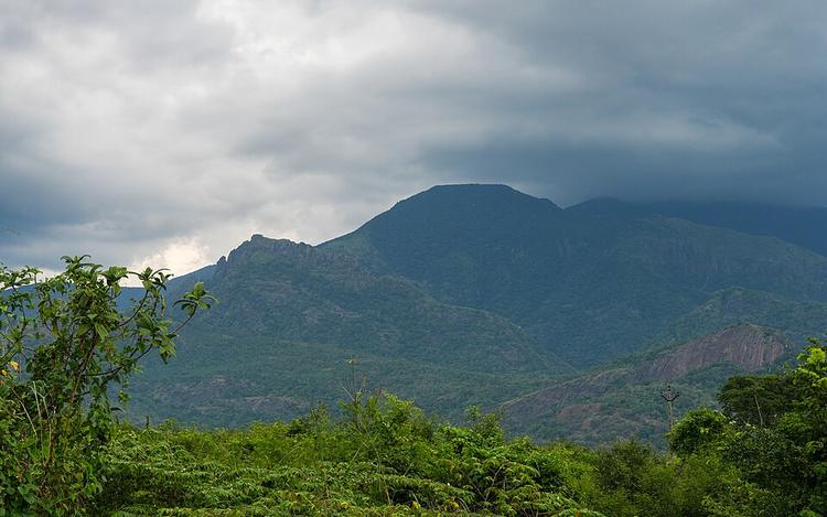 Rajapalayam