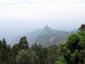 Rangaswamy Peak and Pillar