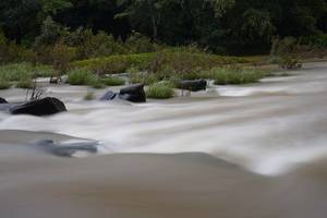 Sahasralinga on the Shalmala River
