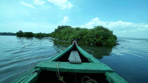 Sambranikodi Mangrove Islet