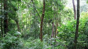 Shendurney Wildlife Sanctuary