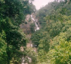 Siruvani Waterfalls and Dam