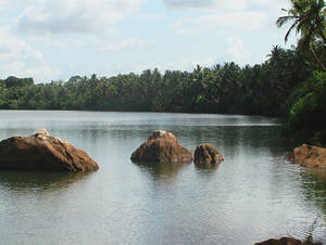 Souparnika River Bank