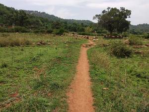 Swamimalai Hills