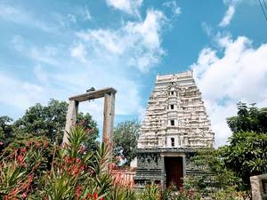 Tadipatri and the Vijayanagara Temples