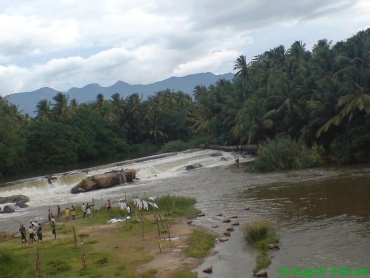 Theni