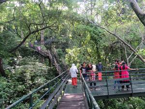 Thenmala Adventure Zone