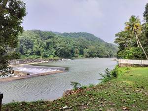 Thumboormuzhi Dam and Butterfly Garden