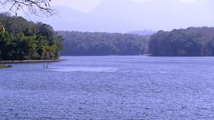 Thunakadavu Dam and Tree House