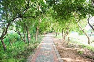 Vaduvur Bird Sanctuary