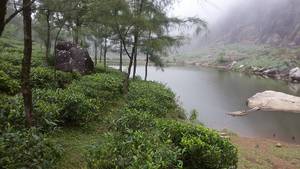 Vagamon Lake