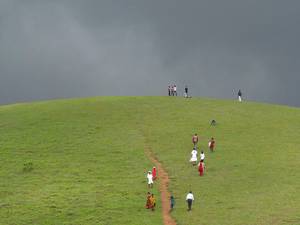 Vagamon Meadows