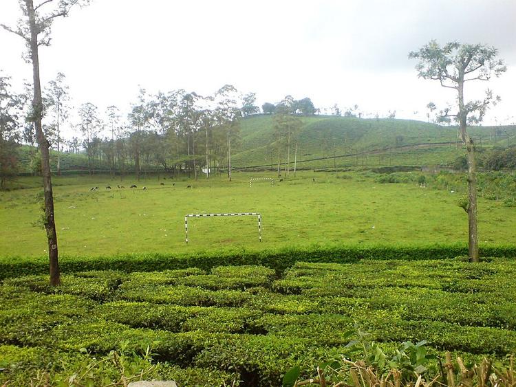 Valparai