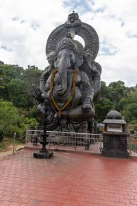 The Cardamom Belt at Vandanmedu and Kattappana