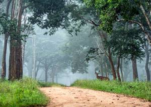Veeranahosahalli Nature Trails