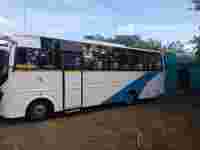 A white and blue bus parked on a dirt path, surrounded by greenery, with a building and trees in the background.