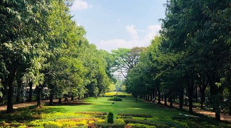 Lalbagh and Cubbon Park: The Perfect Full-Day Bangalore Sightseeing Plan