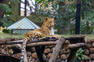Napier Museum and Thiruvananthapuram Zoo