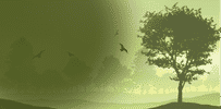 Offer background