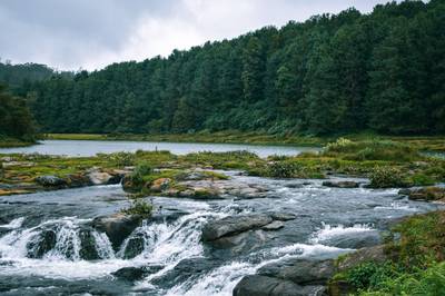 Bangalore to Ooty