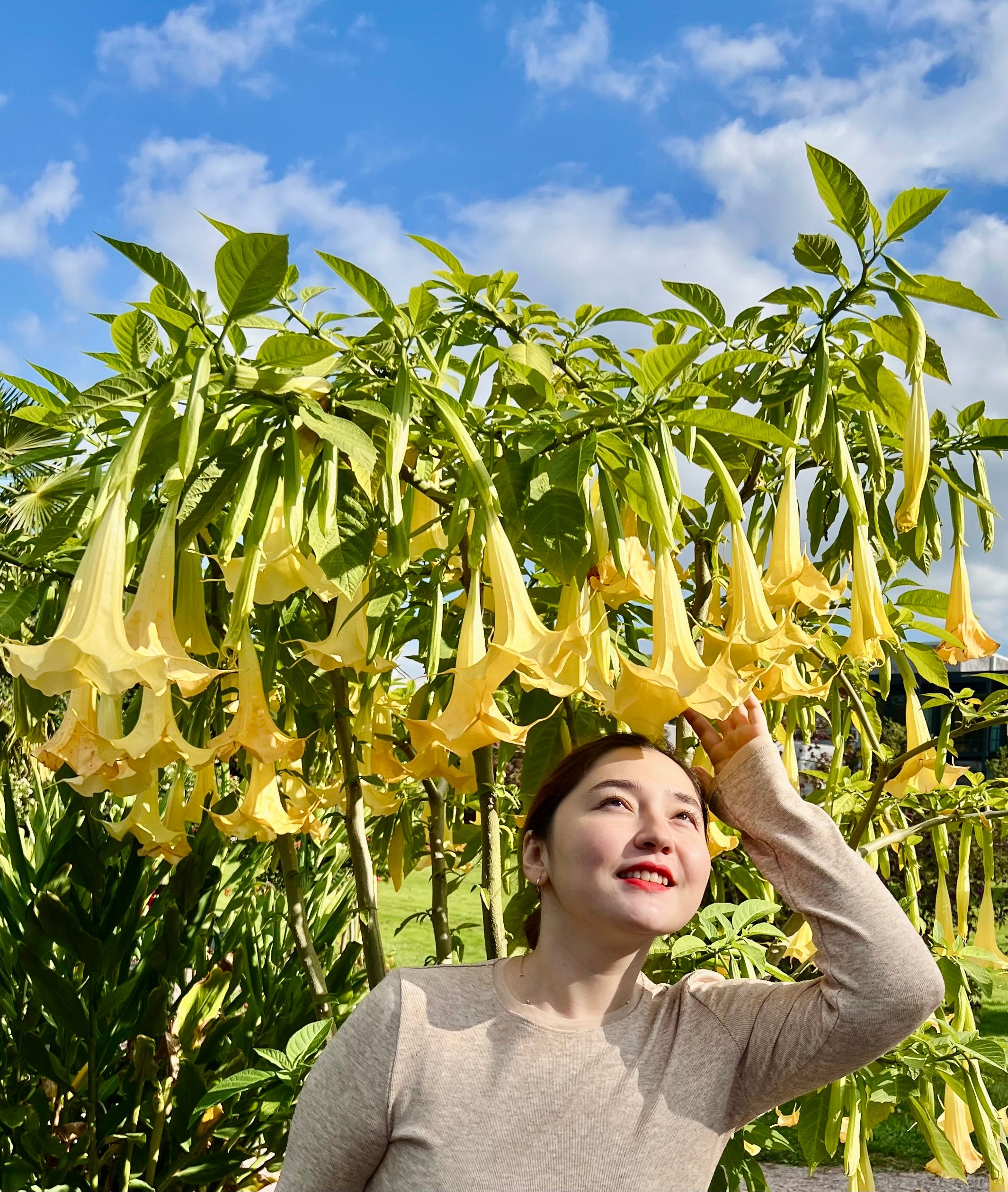 flower-shaped precipitation
