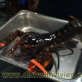 Lobster
