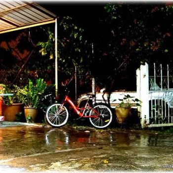 Bankok Tom Yam Interior