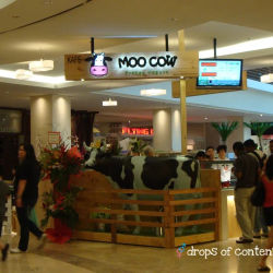 Moo Cow Frozen Yogurt