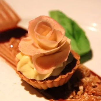 Chocolate Rose