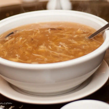 Shark Fin Soup