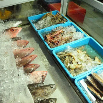 
Assorted seafood displayed 