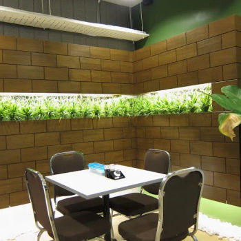 Home Made Fish Head Noodle Interior