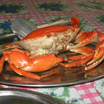 Meaty Baked Crab