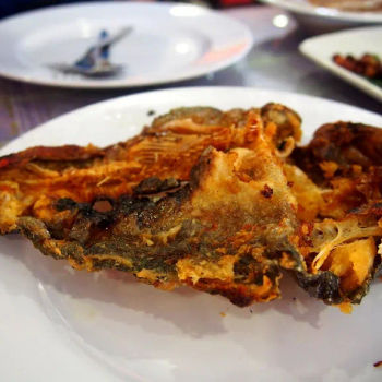 Crispy Skin of Patin Salai