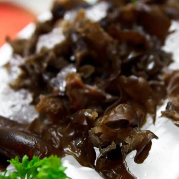 Ice Black Fungus / 冰镇云耳