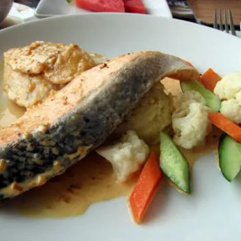 Salmon