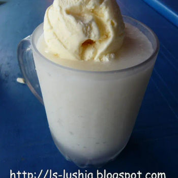 Coconut Shake with Vanilla Ice Cream