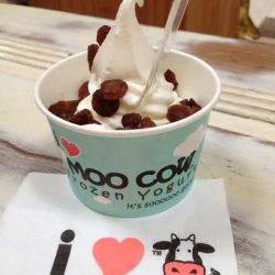 Moo Cow Frozen Yoghurt