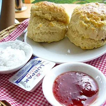 Scones with Frozen Cream