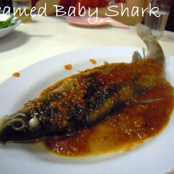 Steamed Baby Shark