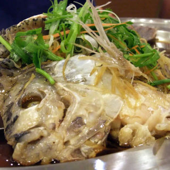 Steamed Tilapia