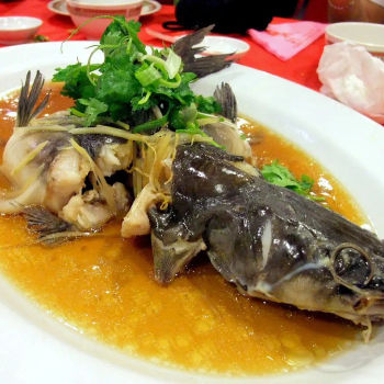 Steam Pak So Kung (a type of Cat Fish)