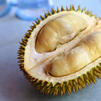 Durian