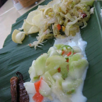 the diced cucumbers and cabbages