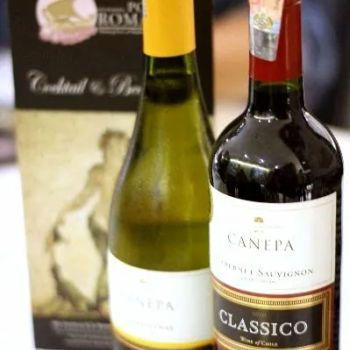 Chilean Wines ~ Red and White